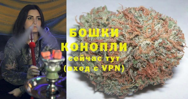 молекула духа Зерноград