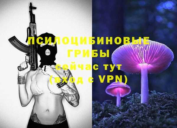 молекула духа Зерноград